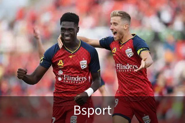 Bsport公司环境